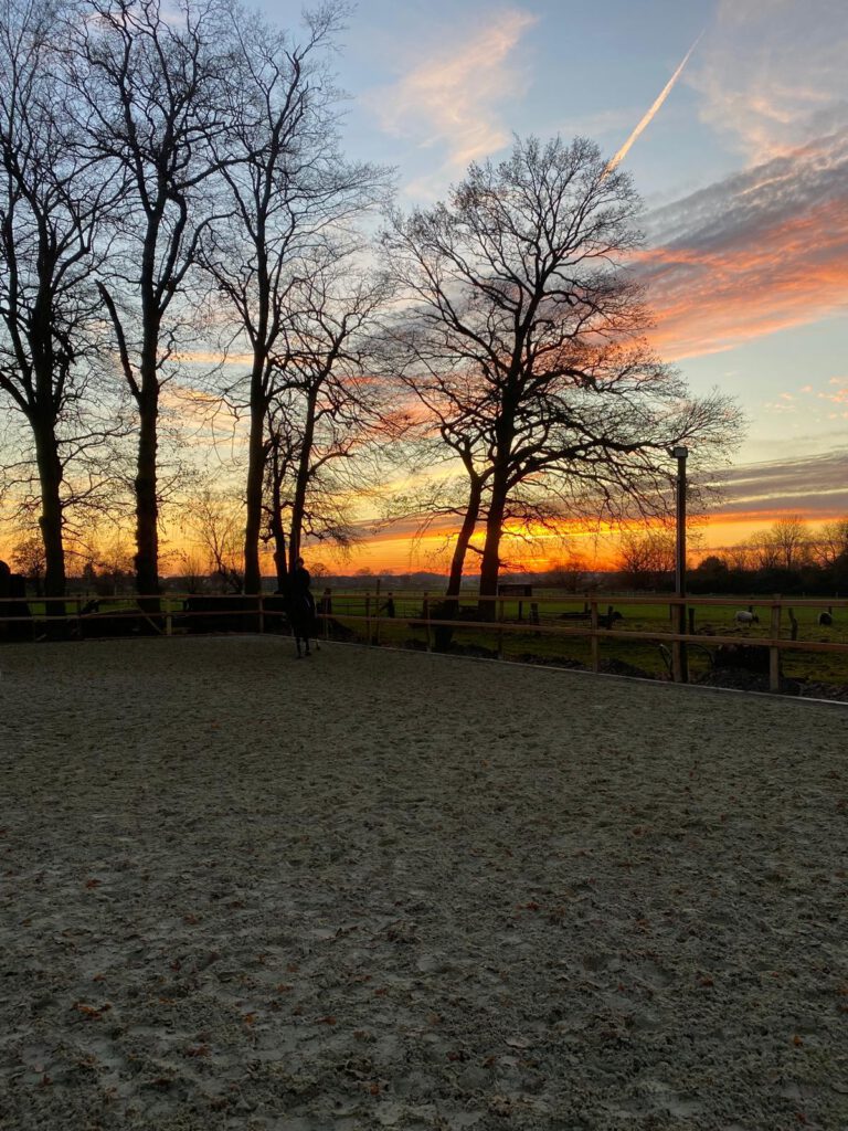 Reitplatz Sonnenuntergang